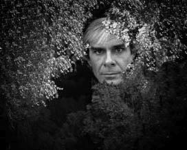 verne in the trees